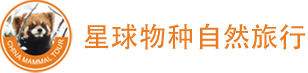 CBT自然观察